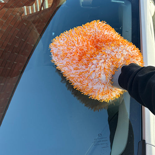Wash Mitt